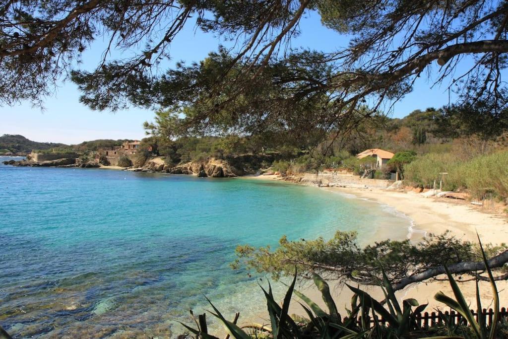 A 500 M Bord De Mer Giens Hyeres Luaran gambar